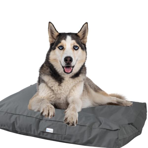 Cama de Perro Heavy Metal L